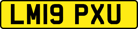 LM19PXU