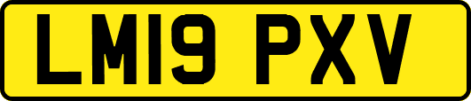 LM19PXV