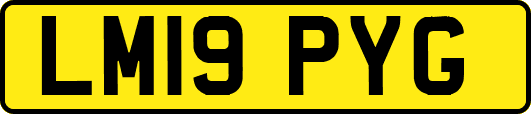 LM19PYG
