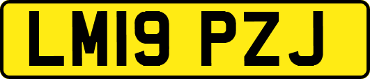 LM19PZJ