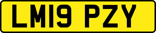 LM19PZY