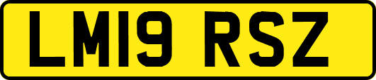 LM19RSZ