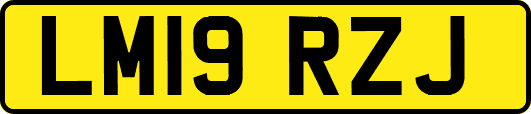 LM19RZJ