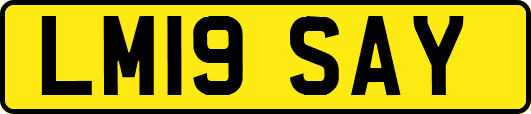 LM19SAY