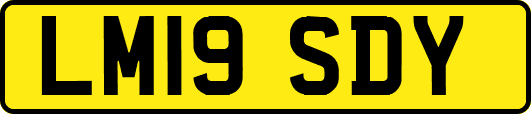 LM19SDY
