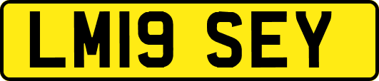 LM19SEY