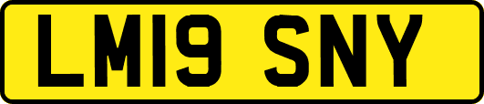 LM19SNY