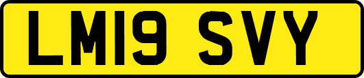 LM19SVY