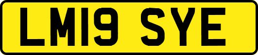 LM19SYE