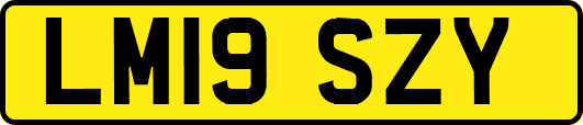 LM19SZY