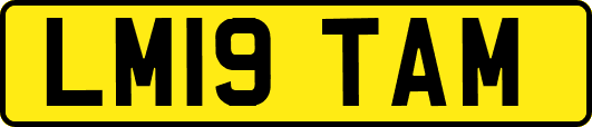 LM19TAM