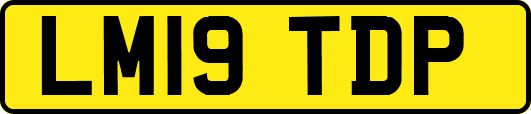 LM19TDP