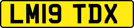 LM19TDX
