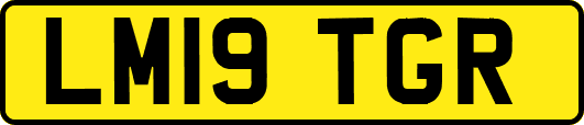 LM19TGR
