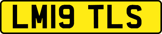 LM19TLS