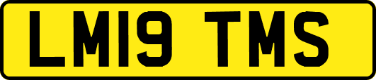 LM19TMS