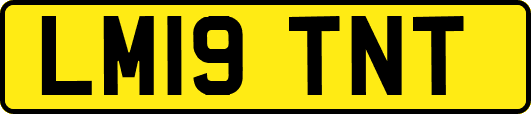 LM19TNT