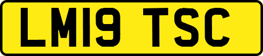 LM19TSC