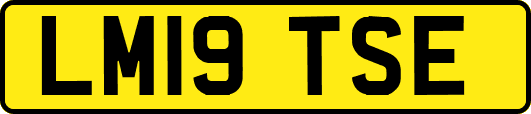 LM19TSE
