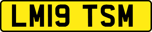 LM19TSM