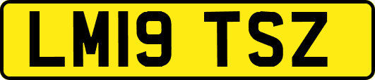 LM19TSZ