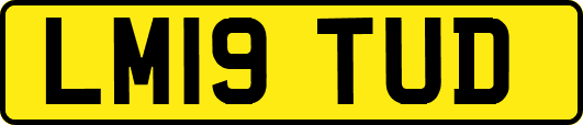 LM19TUD