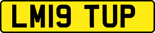 LM19TUP