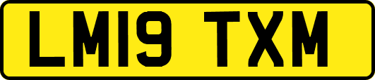 LM19TXM