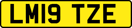 LM19TZE