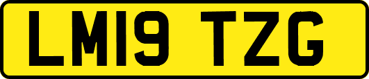 LM19TZG