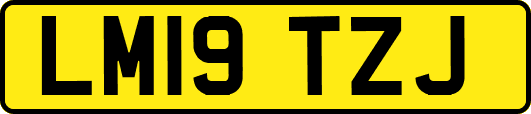 LM19TZJ