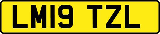 LM19TZL