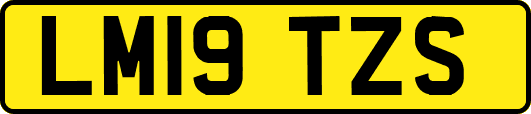 LM19TZS