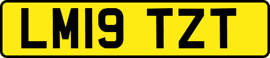 LM19TZT