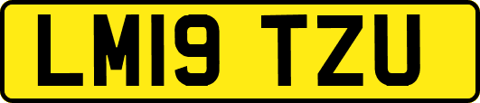 LM19TZU
