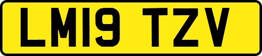 LM19TZV