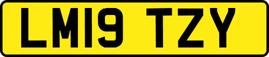 LM19TZY