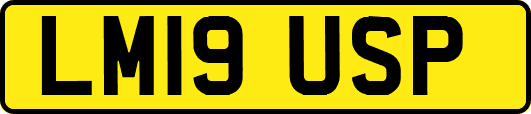 LM19USP