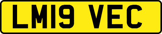 LM19VEC