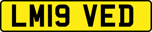 LM19VED
