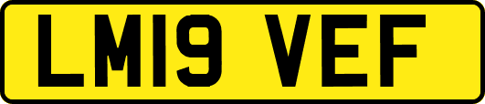 LM19VEF