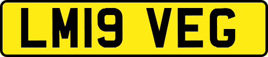 LM19VEG