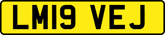 LM19VEJ