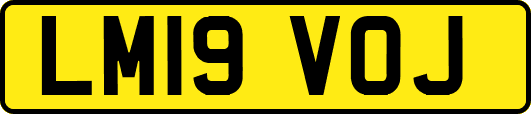 LM19VOJ