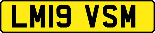 LM19VSM