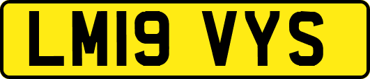 LM19VYS