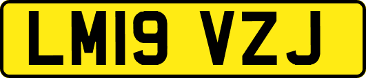 LM19VZJ