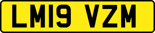 LM19VZM