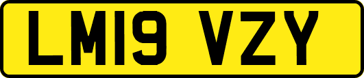 LM19VZY
