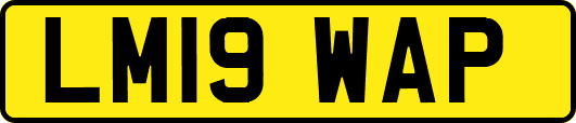 LM19WAP